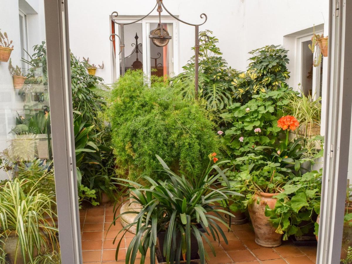 Villa Alexia - Apartment Coral - Puerto Pollensa ภายนอก รูปภาพ